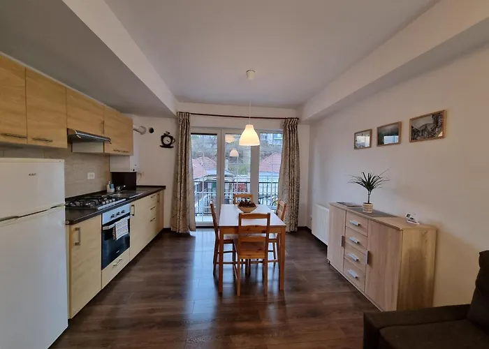Avram Iancu Private Apartment With Ac